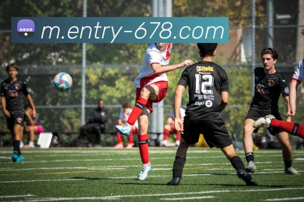 678体育APP 高清赛事图